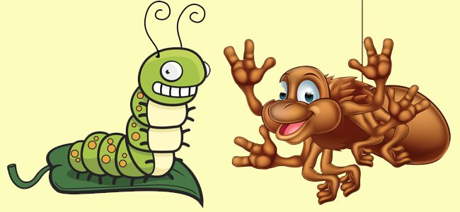 Fábula La araña y el gusano de seda ¡Leer ahora! 【NUEVO】